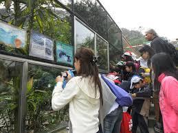 attraction) How do we get (Transport) The Kadoorie Farm and Botanic Garden Tai Po 1.