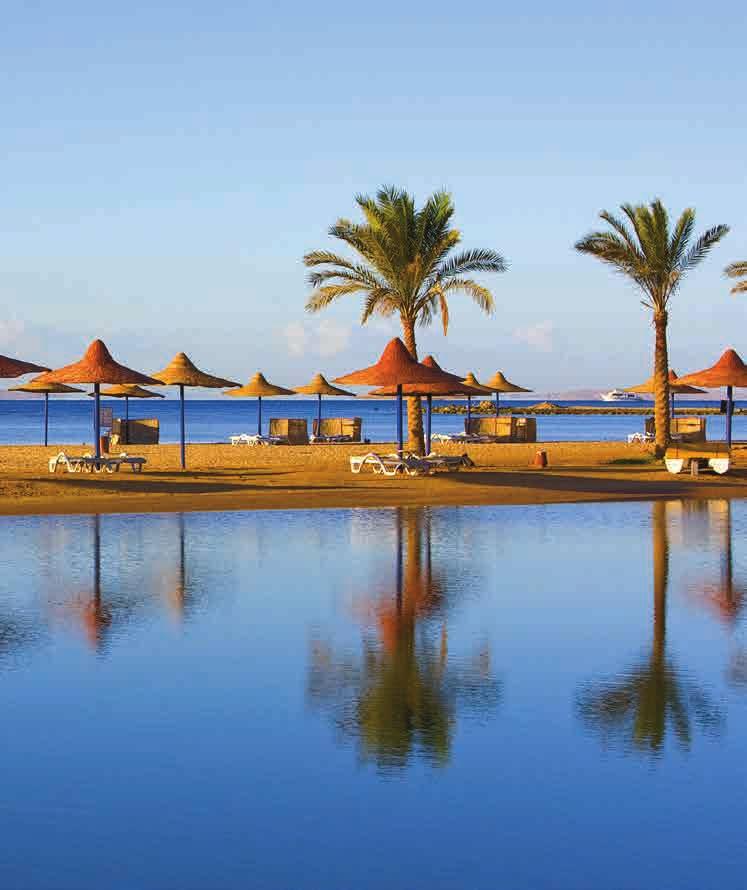 who head to the shores of the Red Sea for excellent beaches, water sports and easy access to the nearby mountains and deserts.