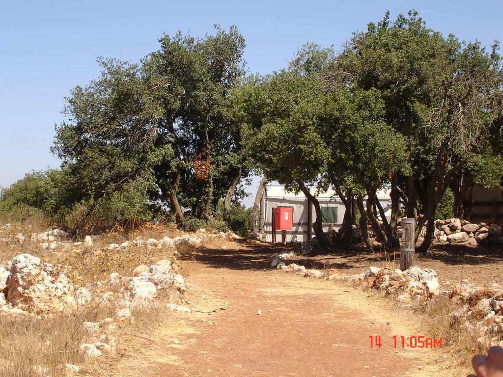 Ajloun Nature Reserve The Ajloun highlands, located in the north of, consist of rolling hills covered by woodlands that are valued by local communities for their products, scenic beauty, medicine,