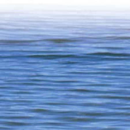 OCEAN AND BAY WATER CLOSURES DUE TO SEWAGE SPILLS When a known release of sewage is reported to the Ocean Water Protection