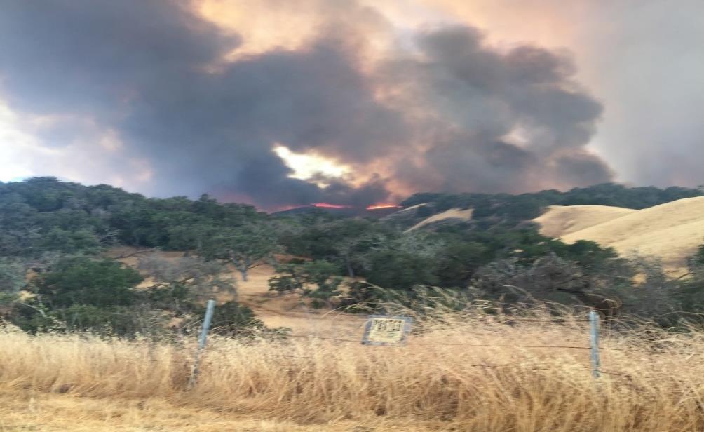 to try and walk out. NARRATIVE A fire is reported along State Highway 154 (Santa Barbara to Santa Ynez/Solvang) on July 8 at 1343.