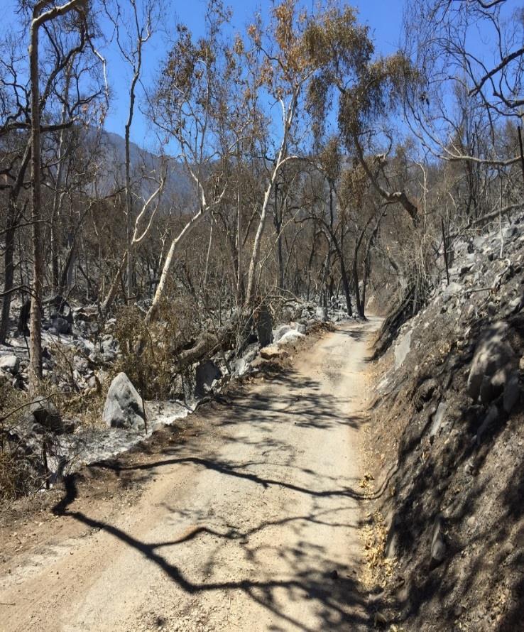 Photos taken post fire. Top photo shows the primitive road into the Circle V Ranch Camp one-half mile in from the highway. Photo on right shows the road into the camp ¾ mile in.