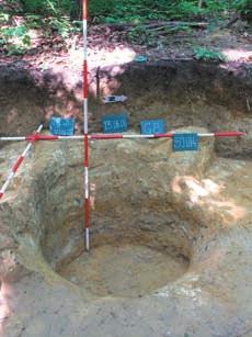 , tijekom 50 radnih dana, provođena je nova faza sustavnoga arheološkog istraživanja prapovijesnog lokaliteta Orovački vinogradi u općini Severin. Radovi su obavljeni pod vodstvom dr. sc.