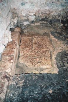 Hrvatski arheološki godišnjak 3/2006 Rezultati su istraživanja sljedeći: otkriven je znatan potez antičkog trijema sa sjeverne strane dekumana; otkrivene su kamene ploče dekumana in situ;