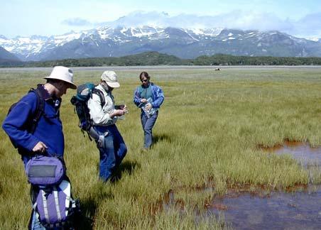 ALAGNAK WILD RIVER & KATMAI NATIONAL PARK VASCULAR PLANT INVENTORY ANNUAL TECHNICAL REPORT 23 The geology of the region was quite diverse.