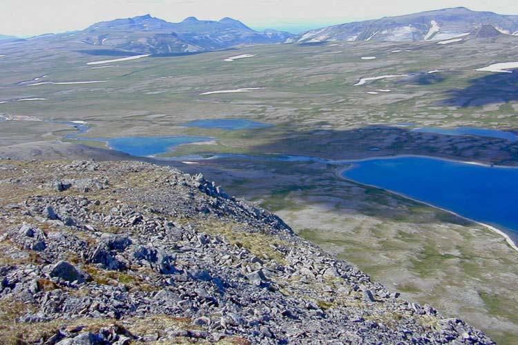ALAGNAK WILD RIVER & KATMAI NATIONAL PARK VASCULAR PLANT INVENTORY ANNUAL TECHNICAL REPORT 29 Alpine Fellfields - High alpine peaks at elevations of 700 to 1000 m and with little vegetative cover,