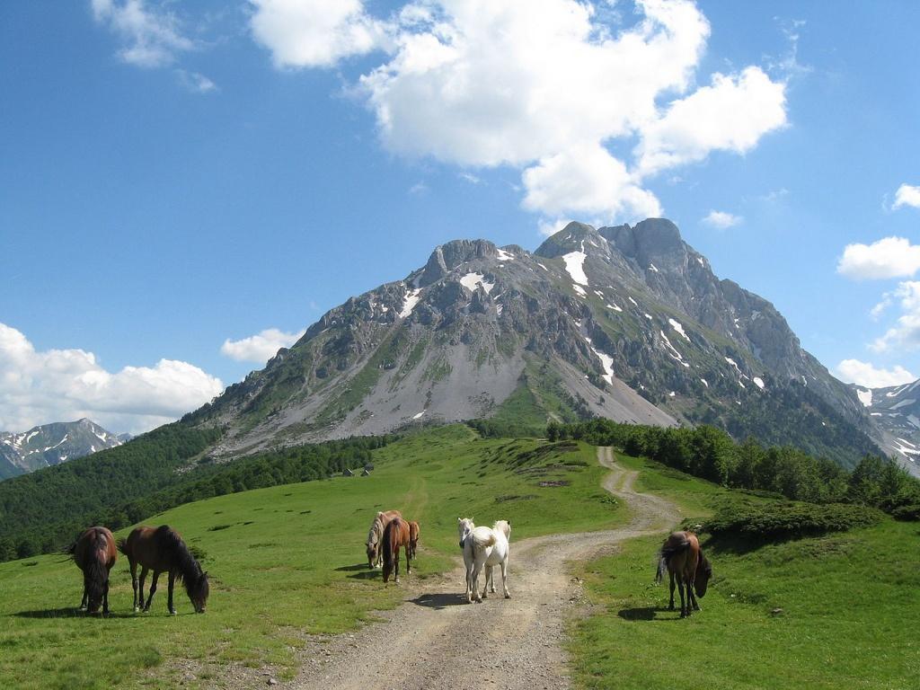 Durmitor National Park comprises Mount Durmitor plateau and the valley formed by the canyon of the River Tara, incorporating three major geomorphologic features: canyons, mountains and plateau.