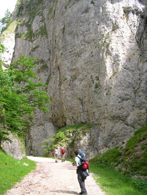 Post seminar tours Option 1 Piatra Craiului Mountains For centuries the people living within the elbow of the Romanian Carpathians have existed in harmony with a rich variety of birds and animals,