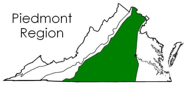 Piedmont Region The Piedmont R egion has rolling hills and is located west of the Fall Line. It is the largest of all of the regions and its land is higher than the land of the Tidewater Region.