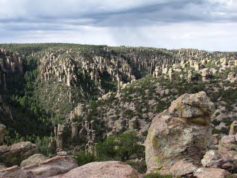 The Chiricahua Mountains is an inactive volcanic range twenty miles wide and forty miles long.