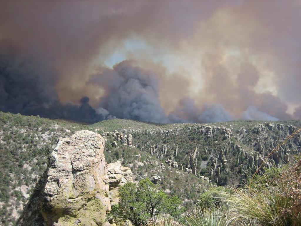 A high intensity fire in the summer of 2011 burned the vast majority of the Chiricahua National Monument Wilderness.