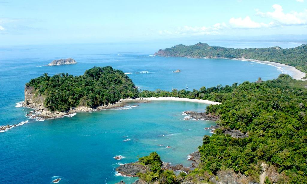 Manuel Antonio National Park During the afternoon, as an optional activity you can visit and hike through the trails of the Manuel Antonio National Park. Dinner served at the hotel s Restaurant.