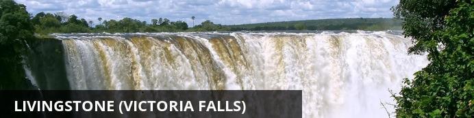 P a g e 8 One of the original natural wonders of the world, the Victoria Falls is a World Heritage Site and an extremely popular tourism attraction.