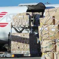ECONOMIC IMPACT ECONOMY ECONOMIC IMPACT OF THE AIRPORT 17 CARGO IMPACT The transport by air of goods is of national significance and economic importance.