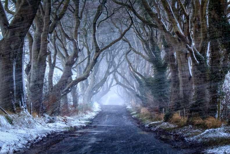 The Dark Hedges, Co Antrim, which features in the Game of Thrones series and has been named as