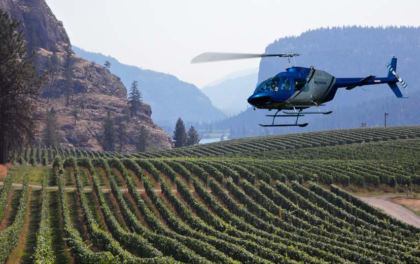 Your day takes off with a private helicopter transfer to Area 27, where your