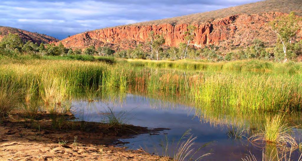 Territory Eco-link aims to connect core protected areas such as the West MacDonnell National Park with other lands. Photo: NRETAS References DCM (2012). Territory 2030.