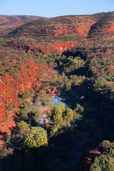 FINKE GORGE NATURE BASED ACCOMMODATION The Northern Territory offers a diverse range of nature-based tourism experiences.