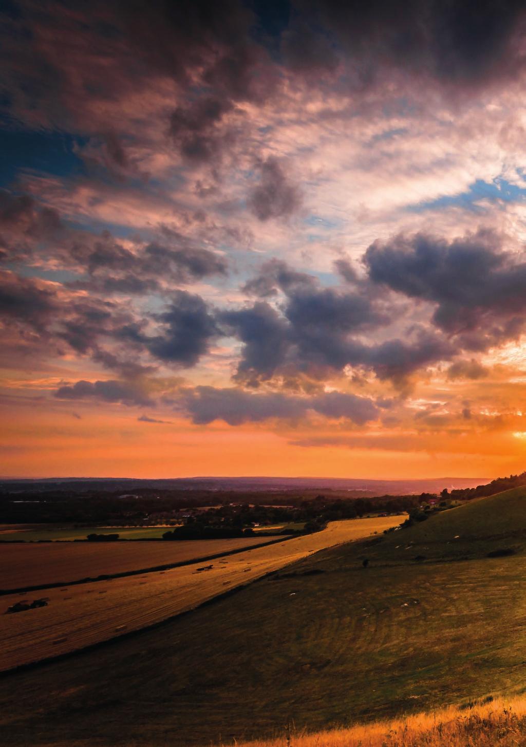 Image James Waghorn The North Downs Beautiful chalk hills, ancient woodland and rolling farmlands spanning from Surrey to Dover make up The North Downs.