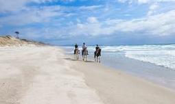 This exclusive horseback safari will return you to nature and replenish your soul.