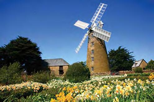 Richmond Bridge Woolmers Estate Callington Mill gourmet experiences and a vibrant artistic and cultural scene.