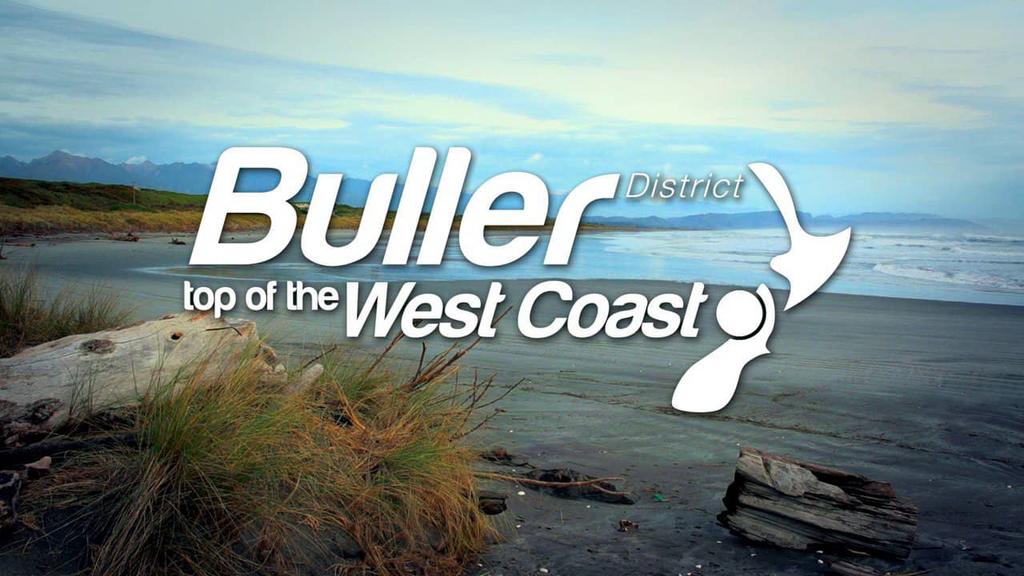 Background Why has this position become vacant? T he position of Buller District Council Chief Executive has become available immediately due to the resignation of our current CE.
