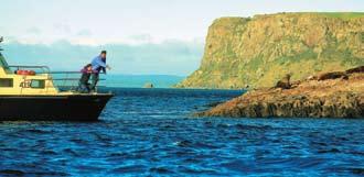 Sea stories The four seasons A Sydney-Hobart yacht powers down Tasmania s stunning coastline Ablaze with colour at Table Cape s tulip farm With its spectacular coastline washed by