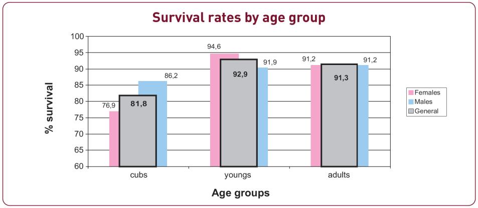 Survival rates 11 years -