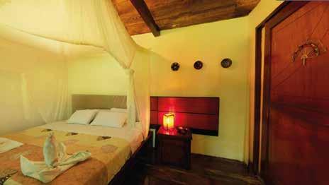 Napo Cultural Center - Accommodation With 12 ample and comfortable cabins, the lodge