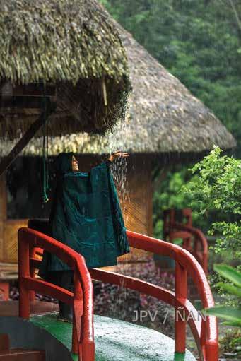 At Napo Cultural Center, we place all our efforts at granting you an unforgettable jungle