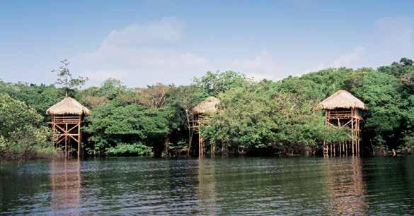 Juma Amazon Lodge A TASTE OF YOUR ITINERARY Start your journey in the beautiful Caribbean, then visit the infamous Devil s Island before reaching Brazil to explore the Amazon as part of an experience