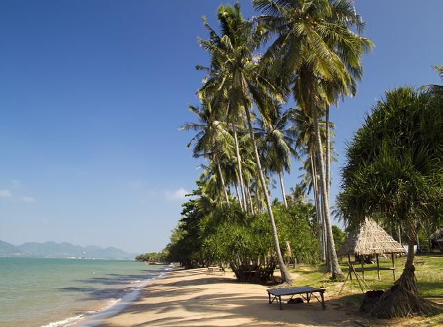 Spend the afternoon lounging on the pristine and quiet shores, wander through the blissfully