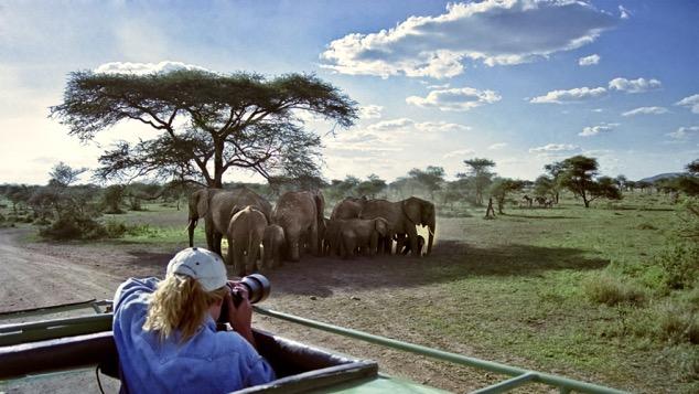 With over 40 years in the travel business I have seen and done a lot. Simply put, very few places have impressed me as much as Tanzania!
