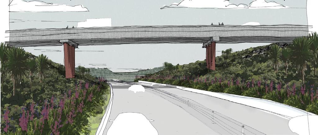 LINK 7 An artist s impression of the Kay Road Bridge when it is complete and landscaped.