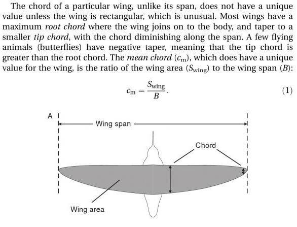 Energetic Costs of Flight Describing wing shapes with standardized measurements: Wing span: