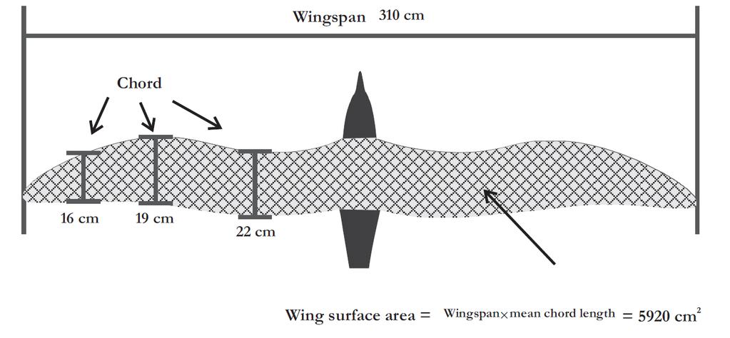 2. Make Wing
