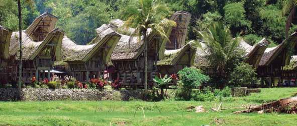 TORAJA Holly Faithful DEAR YALE ALUMNI & FRIENDS This sweeping journey, from Brunei to Bali, reveals a world of fascinating cultures, luxuriant landscapes, prismatic undersea gardens, and an amazing