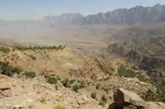 Possible activity along the transfer 30km 45min Village of Wakan (Wadi Mistal) 1h-5h Located at the far end of the Ghubrah Bowl, large