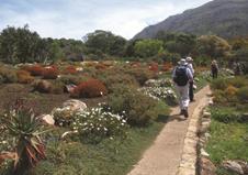 Itinerary One of the world s most spectacular settings at the tip of Africa, the extraordinary landscapes of the Cape and the Garden Route offer a wonderful region for walking with mountain and ocean