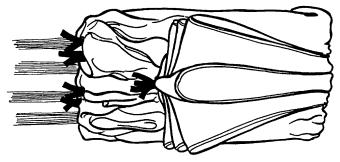 Fig.33 3. Fold the top part of the canopy back on itself, making a fold length equal to the distance between the bottom of the reserve D-bag and the center grommet. Make sure that the nose is exposed.