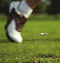 Golf Courses The Jacaranda City offers several excellent golf courses including the Pretoria Country Club, Waterkloof Golf Club, Irene Golf Club, and the