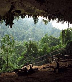 Niah Caves (Full Day) Miri Miri s Niah National Park is a glittering national treasure.