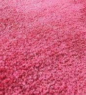 Plush Carpet