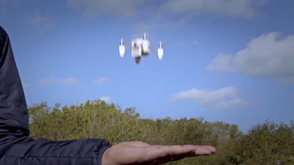 What are the basic safety guidelines for drone recreational flyers?