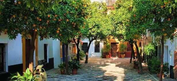orange trees and flower filled courtyards. Check into Hotel. Dinner at Restaurant. Overnight at Hotel.