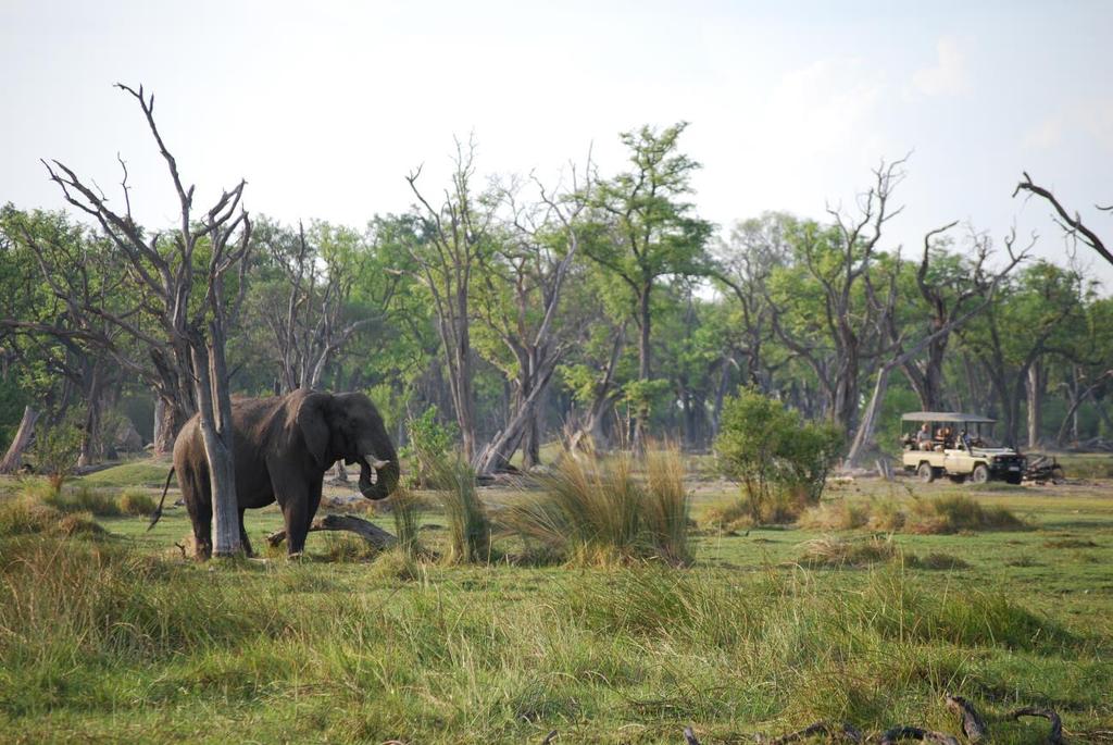 4 INTRODUCTION Northern Botswana is considered by many to be the premier safari destination.