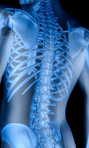 disorders Syringomyelia Medications for spinal
