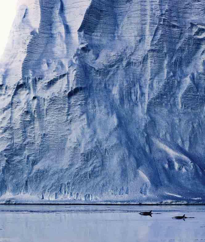 expedition in brief: End of an Era semi-circumnavigation of Antarctica Antarctic Phantom Coast Amundsen Ross Macquarie Aerial sightseeing