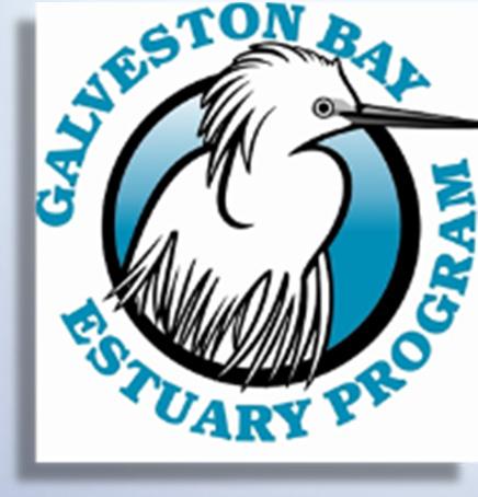 For more information about the Galveston