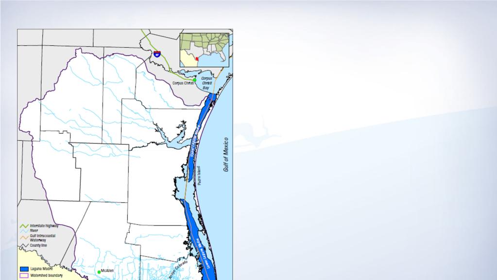 A Lower Laguna Madre Estuary Program? Geographical reach?